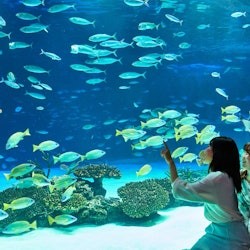 Sunshine Aquarium: Entry Ticket - 1