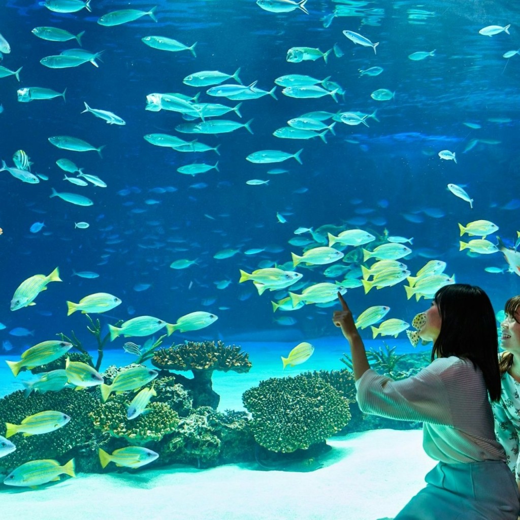 Sunshine Aquarium: Entry Ticket - 3