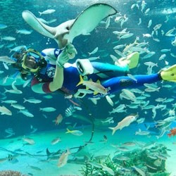Sunshine Aquarium: Entry Ticket - 2