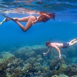 Illes Surin: viatge de snorkel des de Phuket + trasllat en vaixell d'anada i tornada - 1