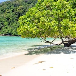 Illes Surin: viatge de snorkel des de Phuket + trasllat en vaixell d'anada i tornada - 2