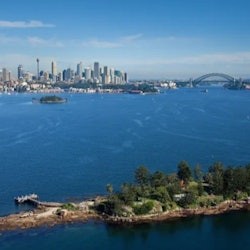 Sydney: Morning/Afternoon Sightseeing Cruise - 1