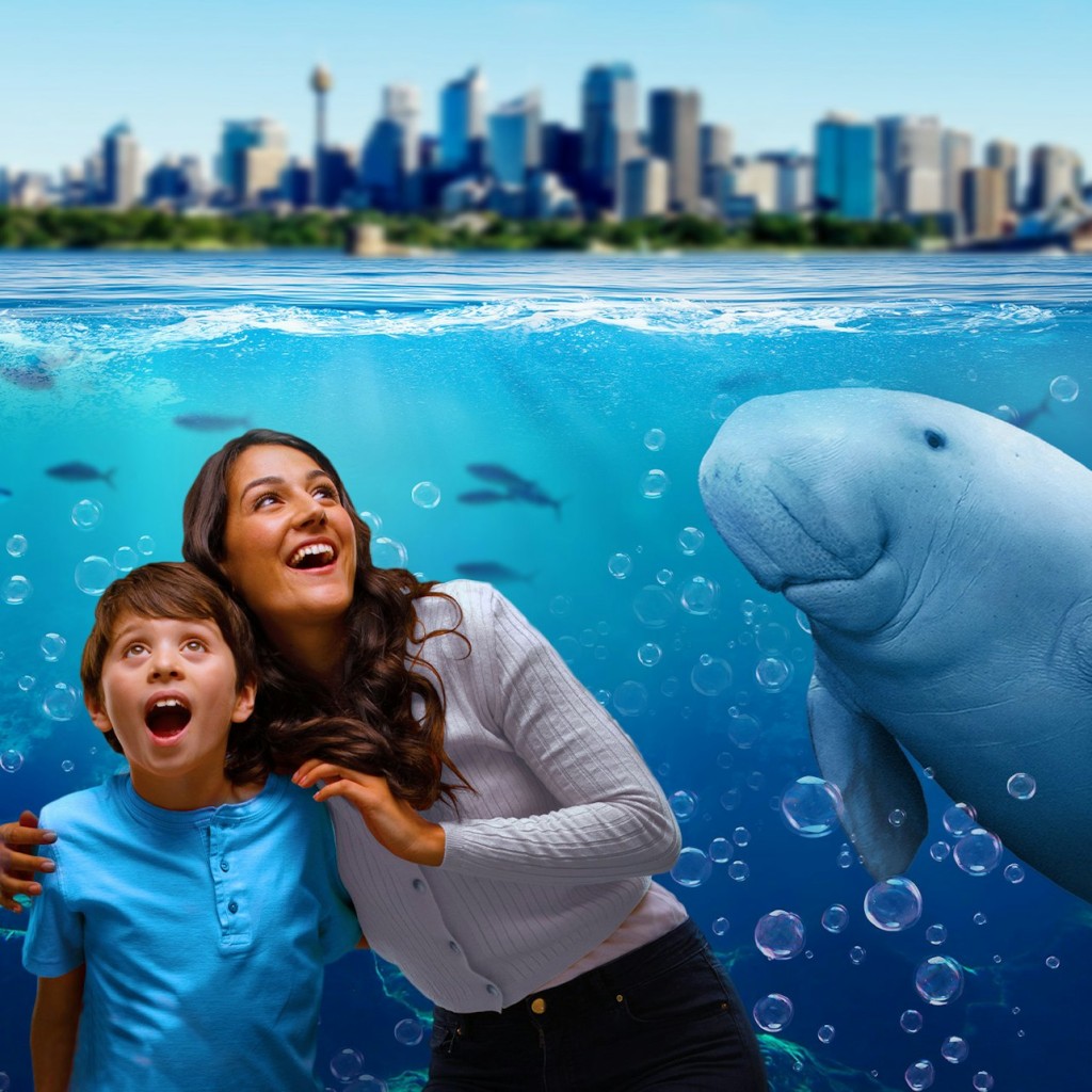 Sydney: Multi-Attraction Pass with 2,3 or 4 Attractions - 2 Attraction Pass - 2