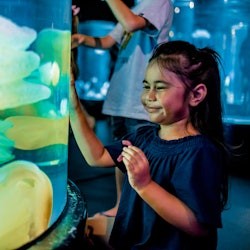 Sydney: Ultimate Pass with 5 Attractions - 1