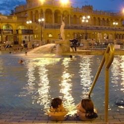 Széchenyi Spa: Entry + Palm House with Snack and Cocktail - 1