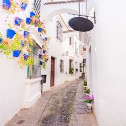 Tablao de Carmen: Flamenco Show + Dinner - 3