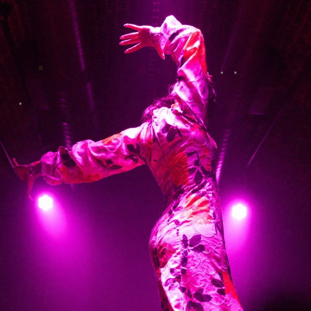Tablao Flamenco La Carmela: Flamenco Show - 1