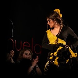 Tablao La Manuela Madrid: Flamenco Show Entry Ticket - 3