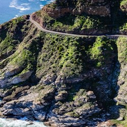 Table Mountain e Cape Point: Tour per piccoli gruppi - 3