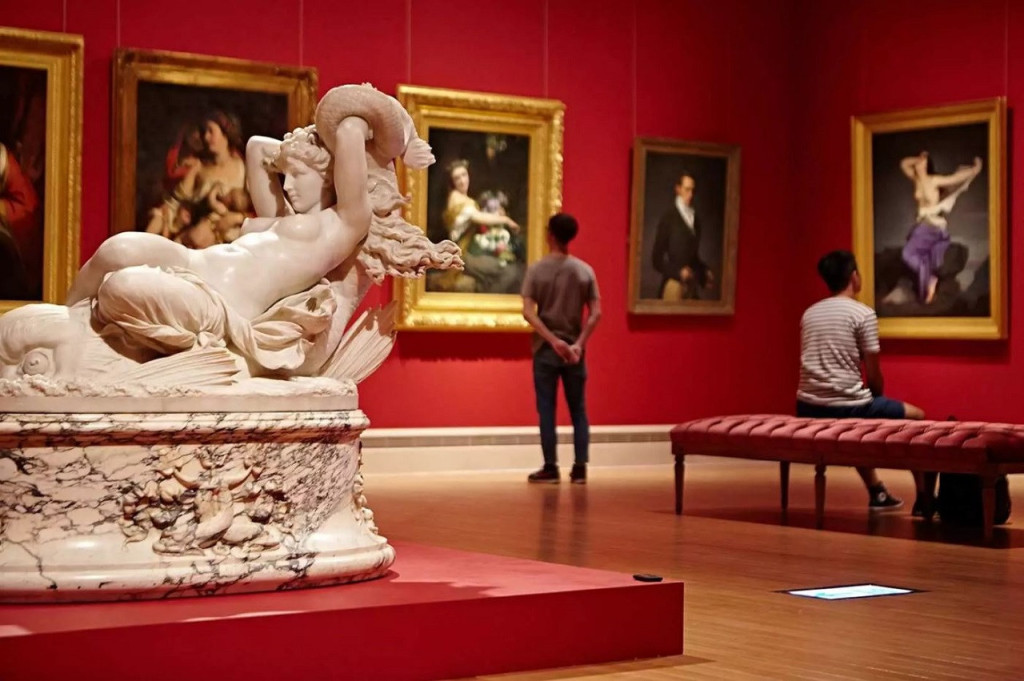 Tainan Chimei Museum (Tainan Chimei Museum - Permanent Exhibition Admission (Concession)) - 2