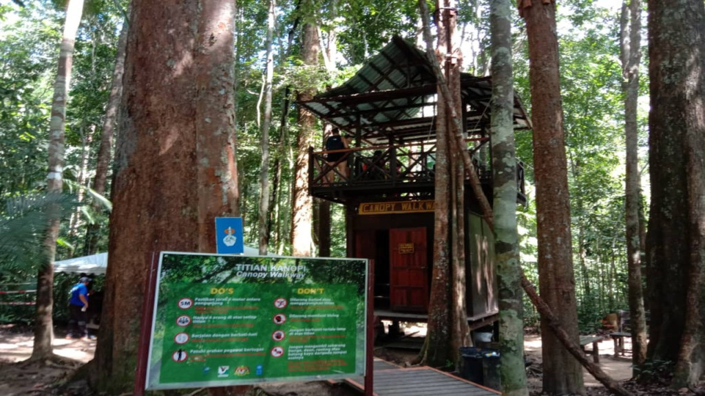 Taman Negara National Park Tour from Kuala Lumpur (Taman Negara National Park Trekking Tour from Kuala Lumpur) - 1