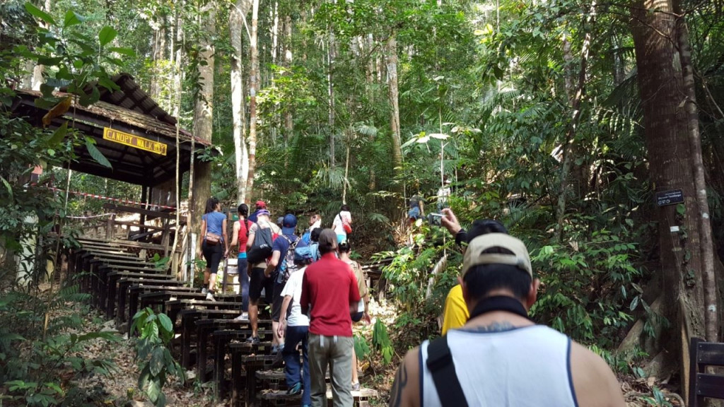 Taman Negara National Park Tour from Kuala Lumpur (Taman Negara National Park Trekking Tour from Kuala Lumpur) - 2