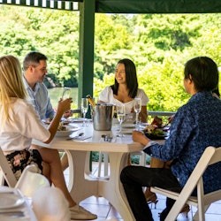 Tamborine Mountain: tour guiat en bus turístic des de Brisbane + tast de vins - 1