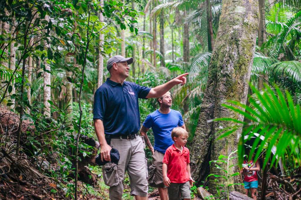 Tamborine Mountain Guided Walk and Wine Tasting Tour - 1