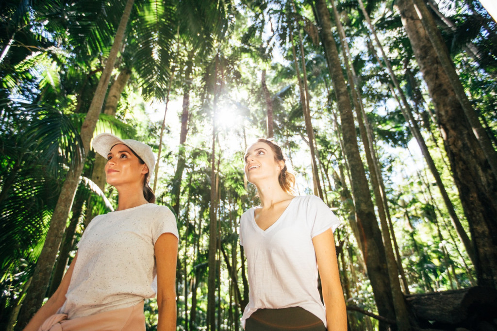 Tamborine Mountain Guided Walk and Wine Tasting Tour - 2