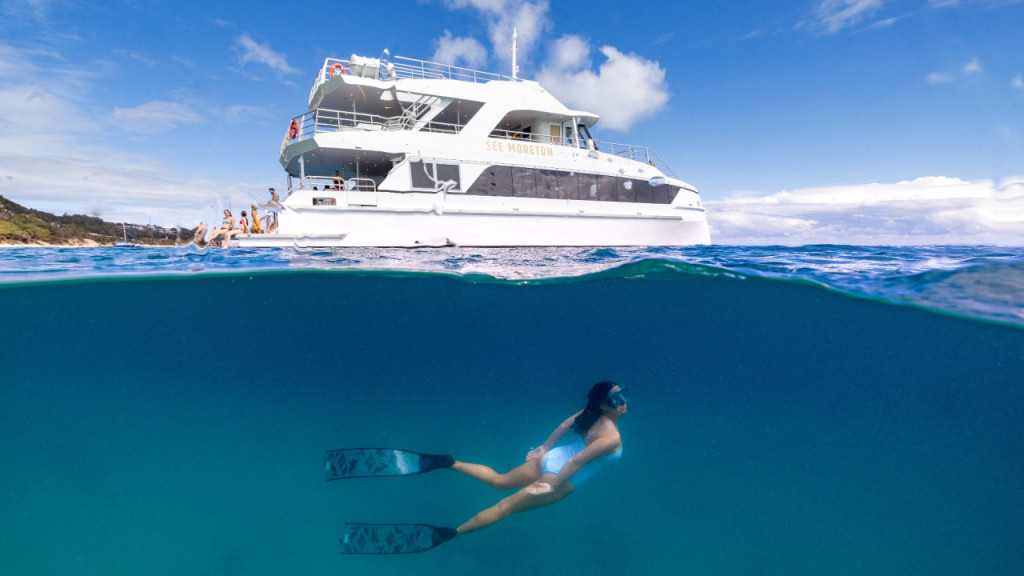Tangalooma Wrecks & Dolphin Cruise Optional Round transfer from Brisbane City and Gold Coast (Roundtrip Transfer from Brisbane) - 3