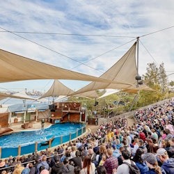 Taronga Zoo Sydney: Bilet wstępu + Prom powrotny - 1