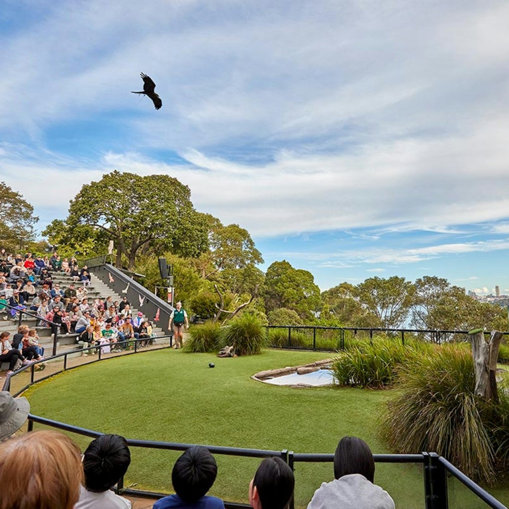 Zoo de Taronga a Sydney: tiquet d'entrada + ferri de tornada i creuer turístic - 24H Sydney Pass - 2