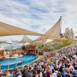 タロンガ動物園シドニー:入場券+往復フェリー&観光クルーズ - 3