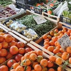 Tour gastronómico de Florencia con All'Antico Vinaio - Sáltate la cola - 1