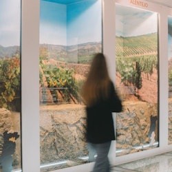 La Bodega de Taylor y La Experiencia del Vino: Visita + Cata - 3