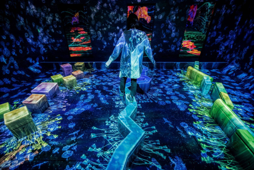 teamLab Forest Fukuoka (teamLab Forest Fukuoka - Admission) - 1