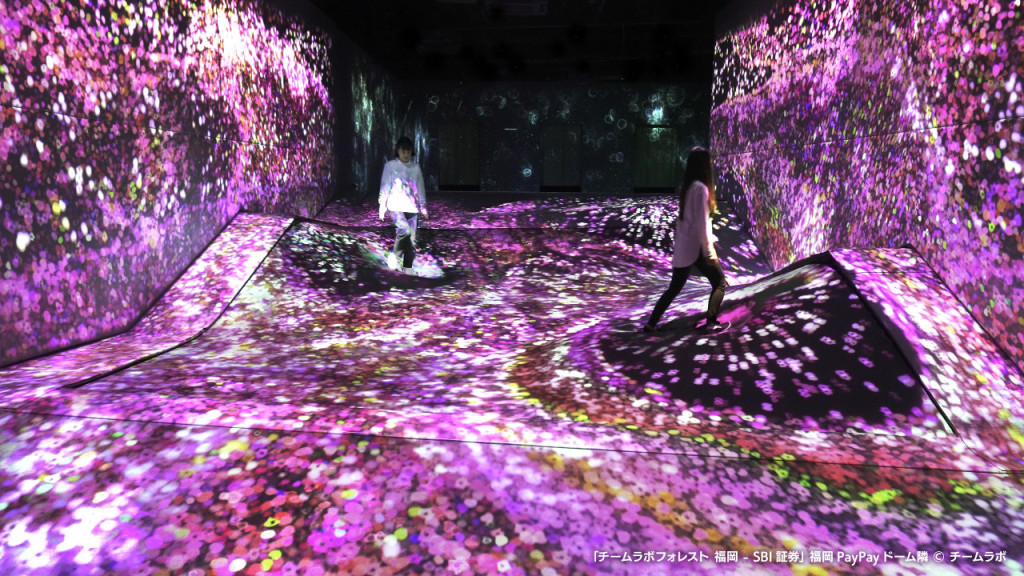 teamLab Forest Fukuoka (teamLab Forest Fukuoka - Admission) - 2