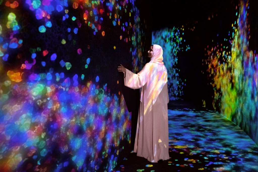 Entrada para teamLab Phenomena Abu Dhabi (teamLab Phenomena Abu Dhabi - Entrada con fecha fija) - 2