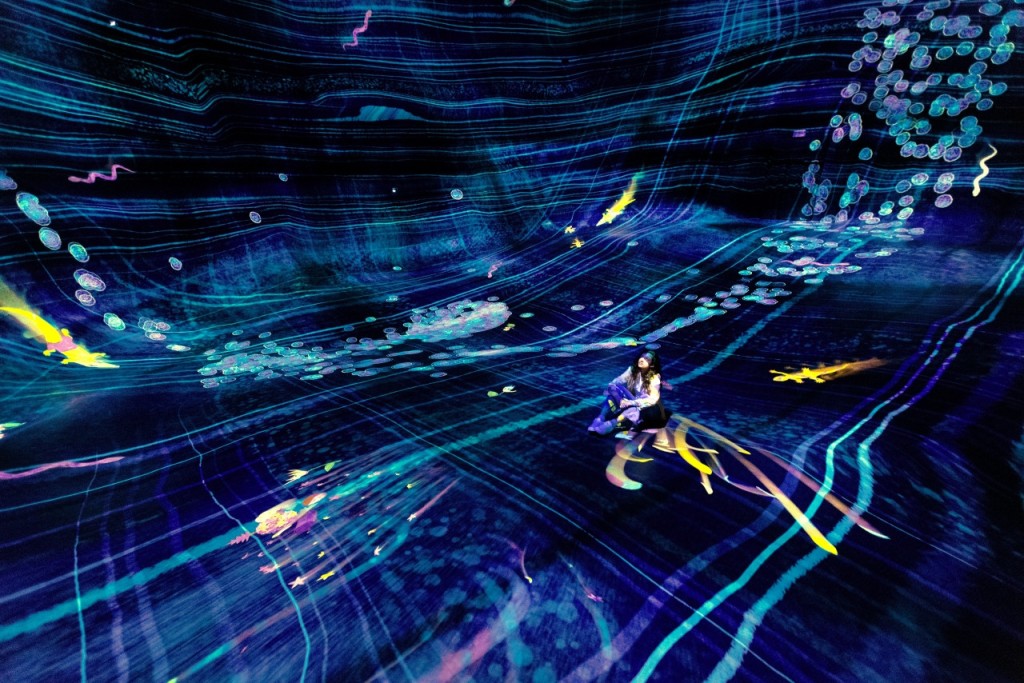 Entrada para teamLab Phenomena Abu Dhabi (teamLab Phenomena Abu Dhabi - Entrada con fecha fija) - 3