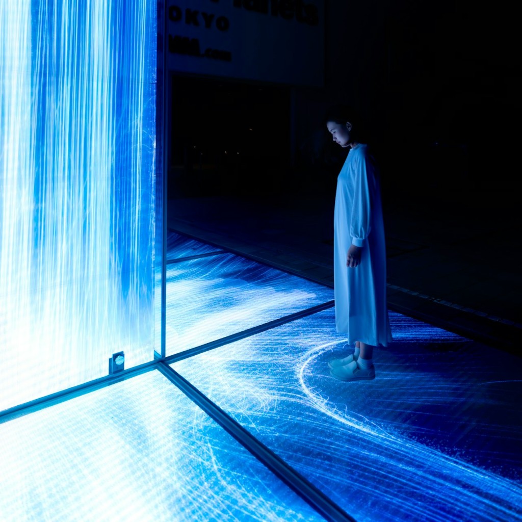 teamLab Planets TOKYO : Billet d'entrée - 1