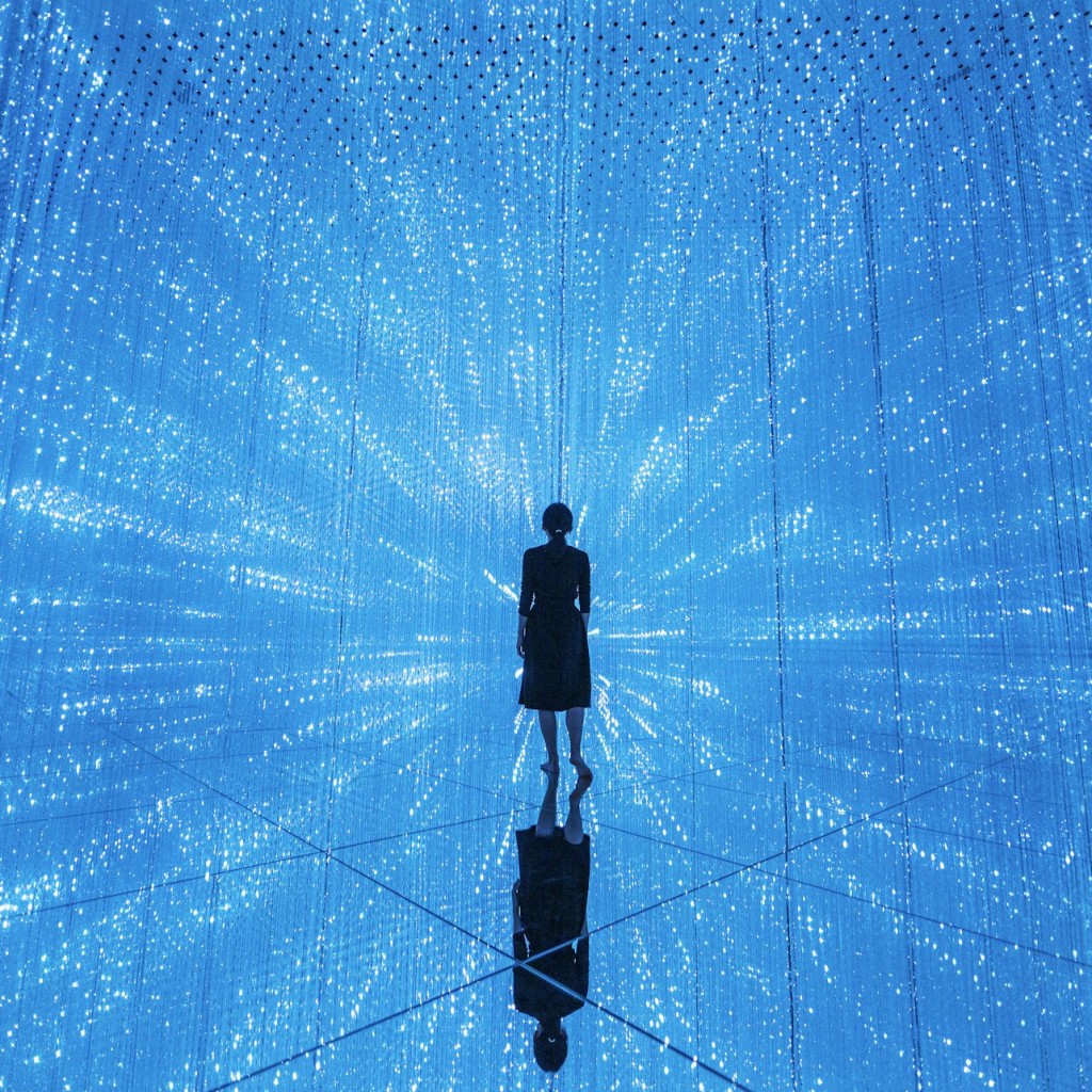 teamLab Planets TOKYO : Billet d'entrée - 3