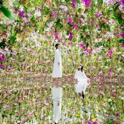 teamLab Planets Tokyo : Prime Pass - 1