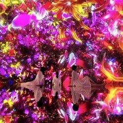 teamLab Planets Tokyo : Prime Pass - 3