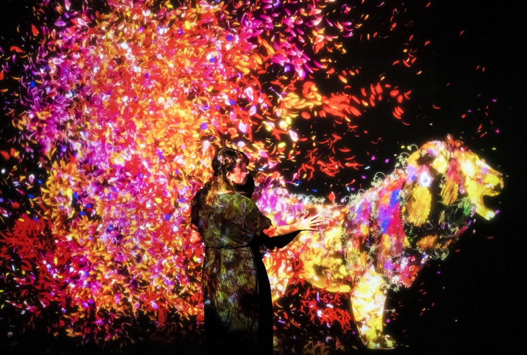 teamLab SuperNature Macao 3D Interactive Exhibition Ticket (teamLab SuperNature Macao - Admission) - 2