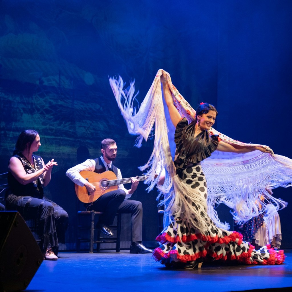 Teatro Flamenco Barcelona: Espetáculo de Flamenco - 1