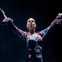 Teatro Flamenco Sevilla: Flamenco Show - 1