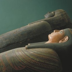 The Field Museum of Natural History: Tiquet d'entrada - 1