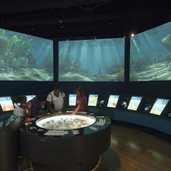 The Field Museum of Natural History: Tiquet d'entrada - 2