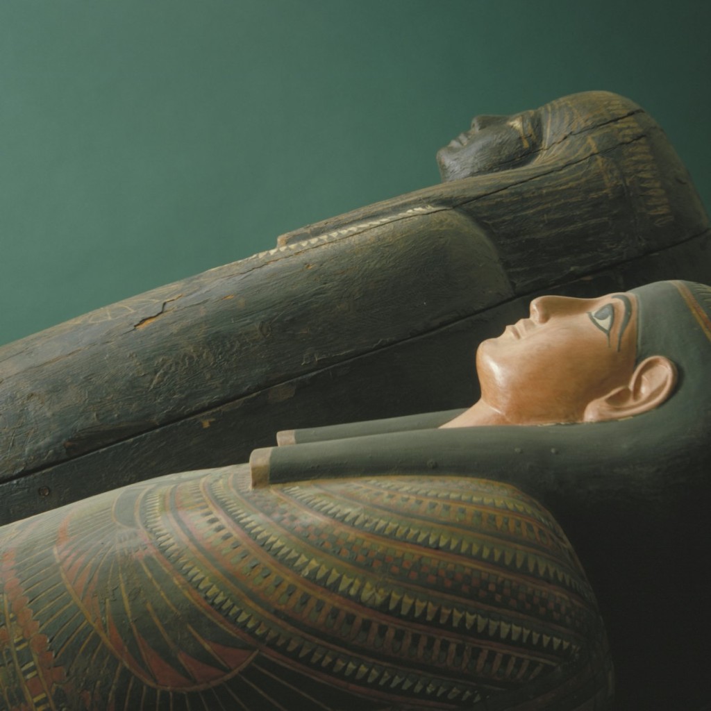 The Field Museum of Natural History: 입장권 - Basic Admission - 1