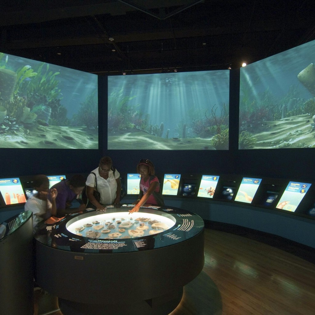 The Field Museum of Natural History: 입장권 - Basic Admission - 2