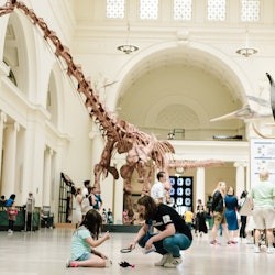 The Field Museum of Natural History: 导览游 + 提前体验 + 展览 - 1