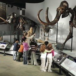 The Field Museum of Natural History: Pass - 2