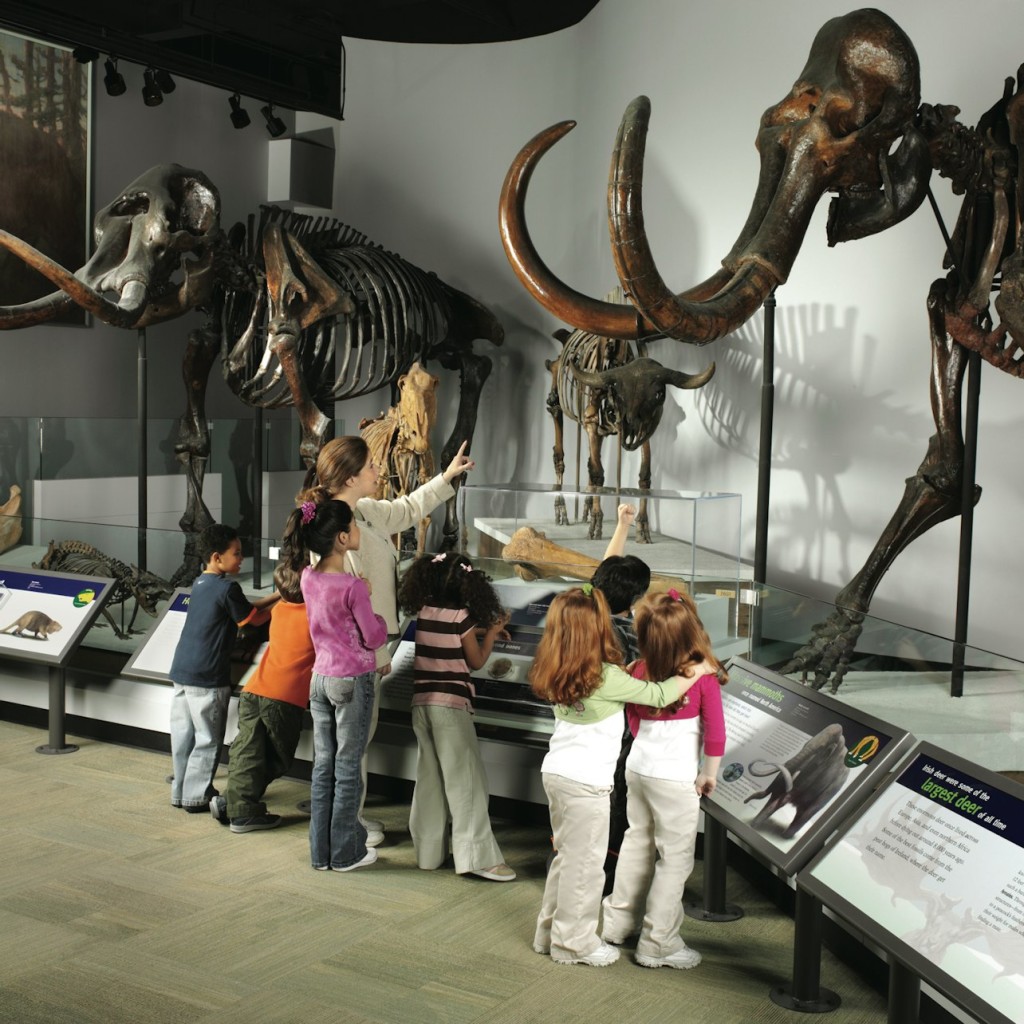 The Field Museum of Natural History: Pass - All Access - 2