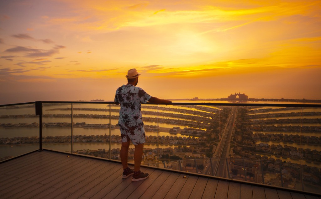 The View at The Palm Ticket (Admission (Non Prime Hours)) - 3