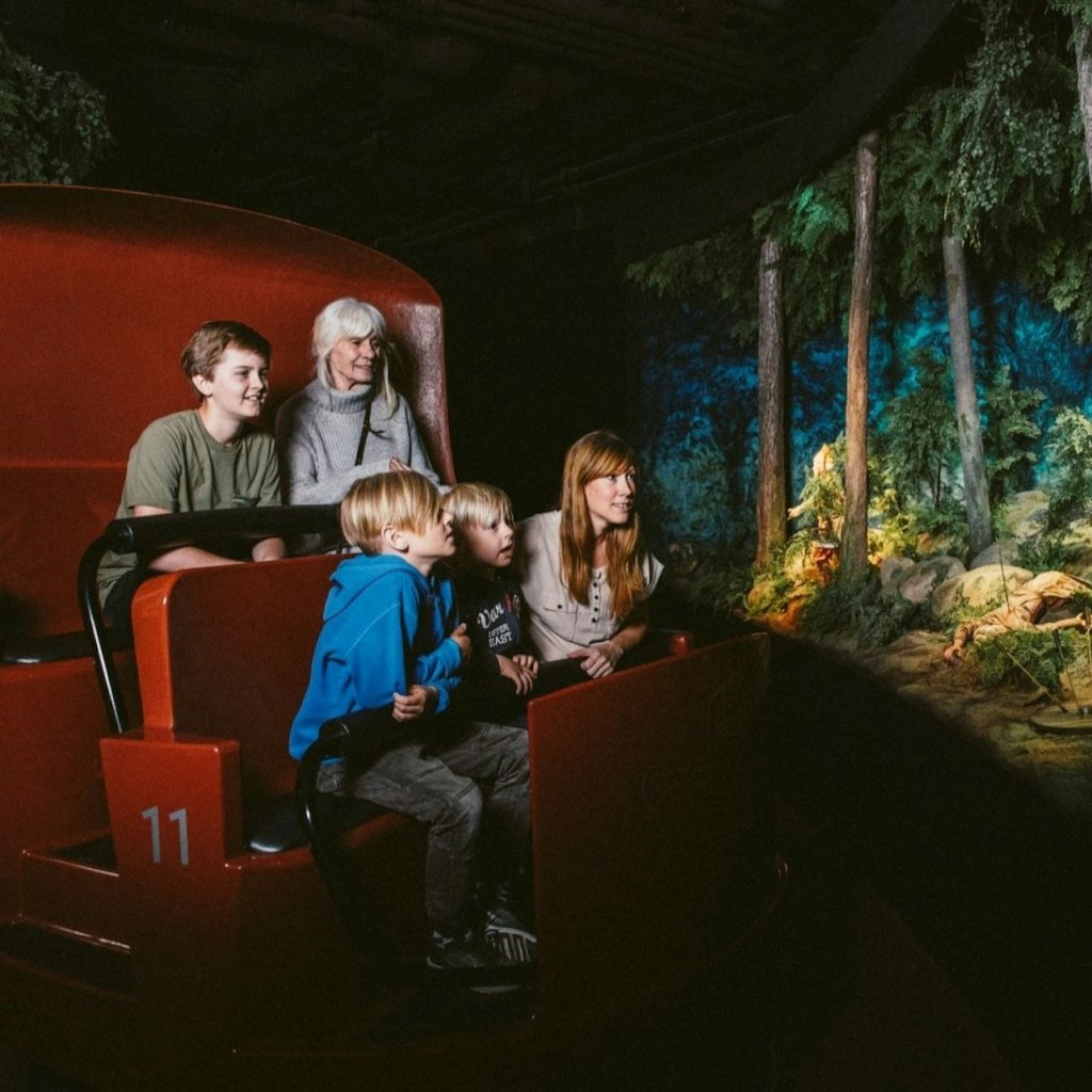The Viking Museum: Entry Ticket - 1