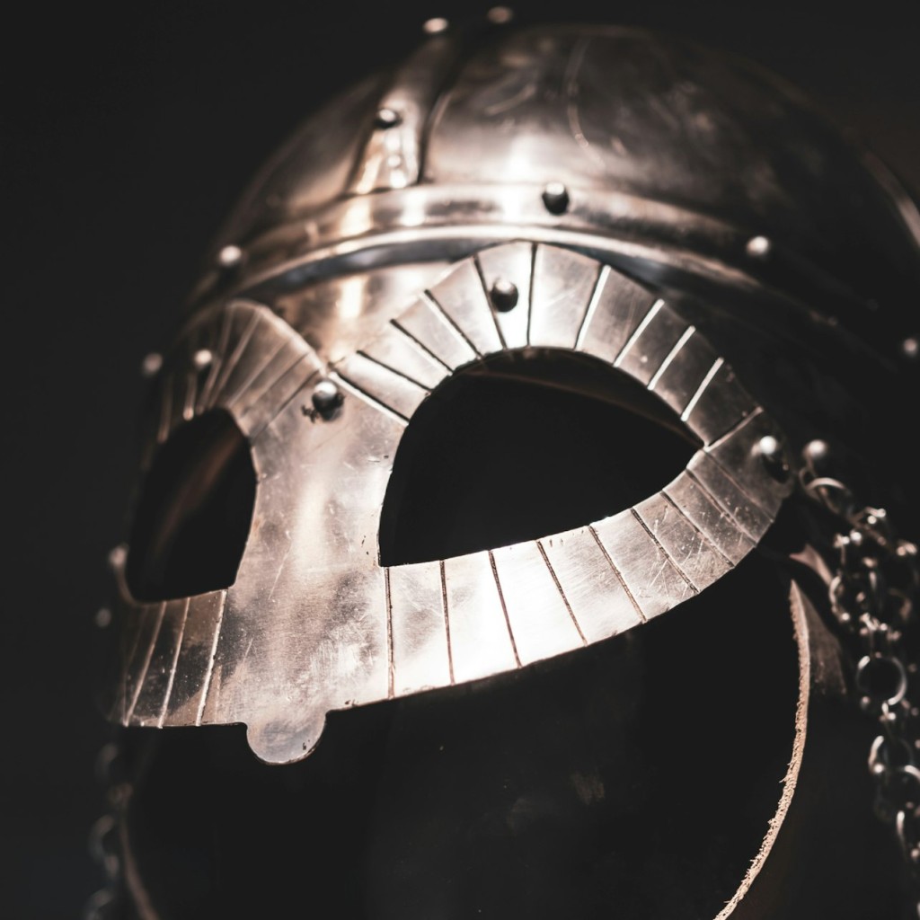 The Viking Museum: Entry Ticket - 3