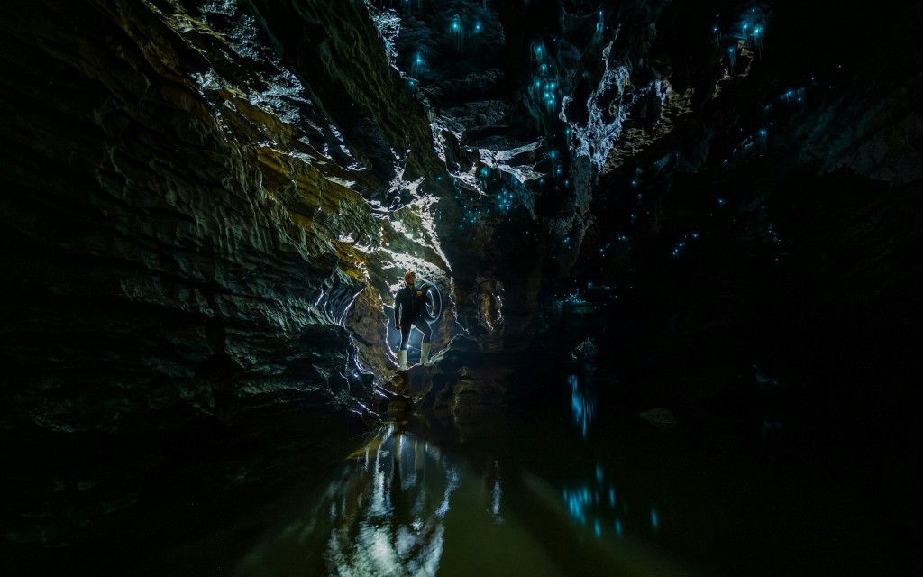 L'esperienza di Waitomo: tour della grotta delle lucciole di Okohua (The Waitomo Experience : Okohua Glowworm Cave Tour) - 3