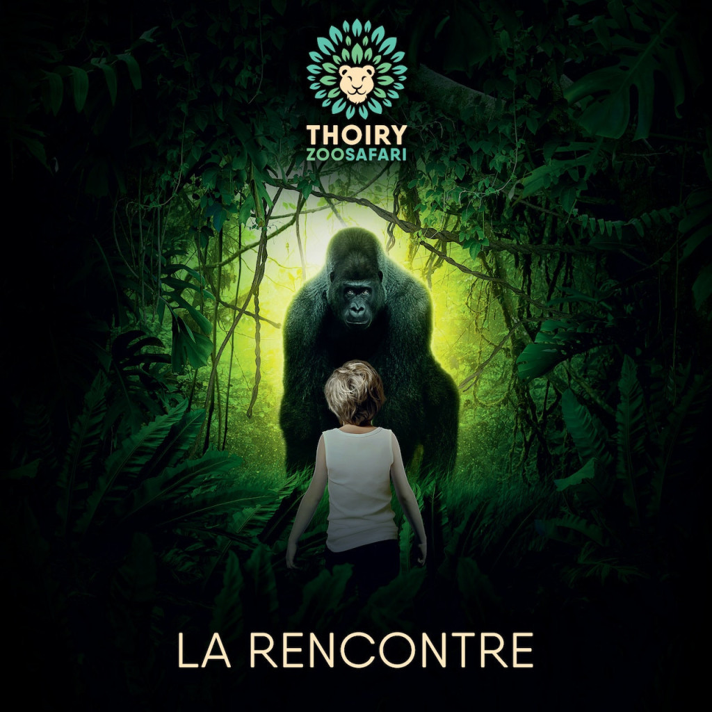Thoiry ZooSafari: Skip The Line - 2