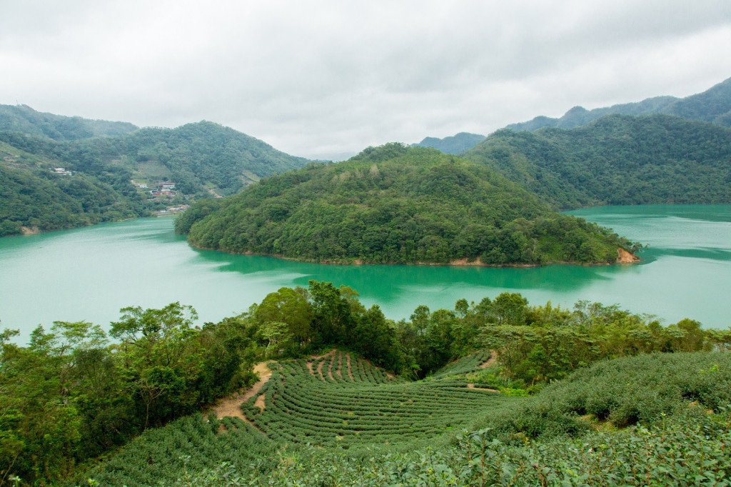 Thousand Island Lake and Pinglin Tea Plantation Tour (Thousand Island Lake and Pinglin Tea Plantation Tour from Taipei) - 2