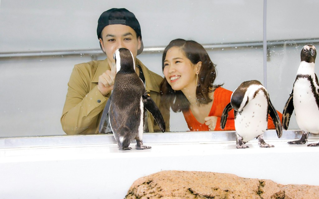 Billets pour l'aquarium de Kyoto (Admission ticket to Kyoto Aquarium ) - 1